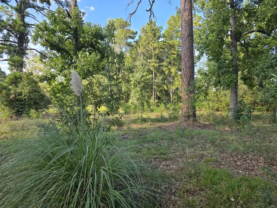 2189 Fm 252, Jasper, TX 75951 - #3