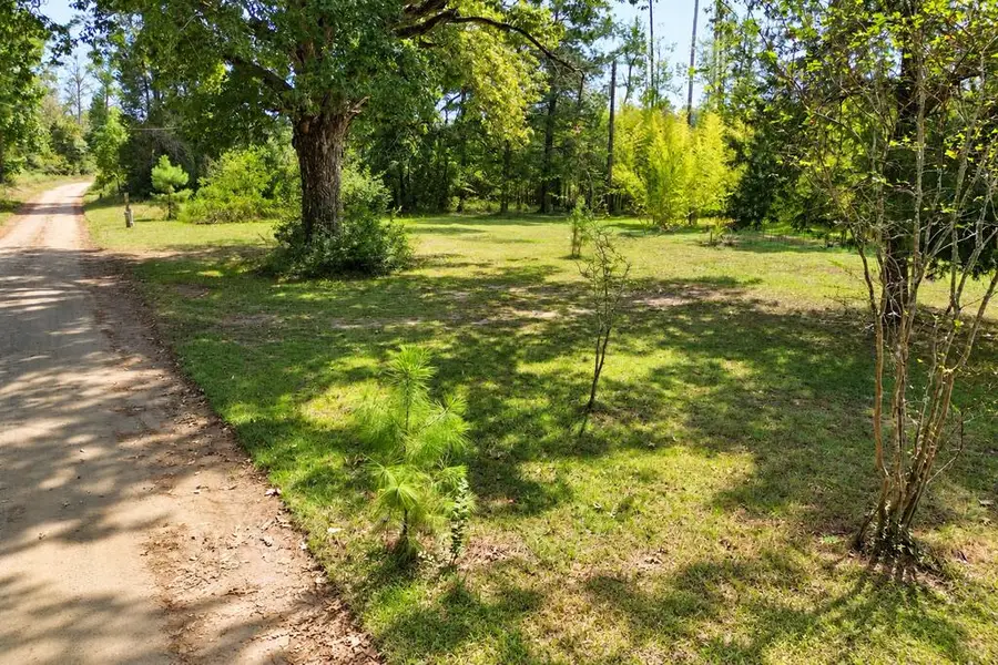 1165 County Road 2132, Burkeville, TX 75932 - #2