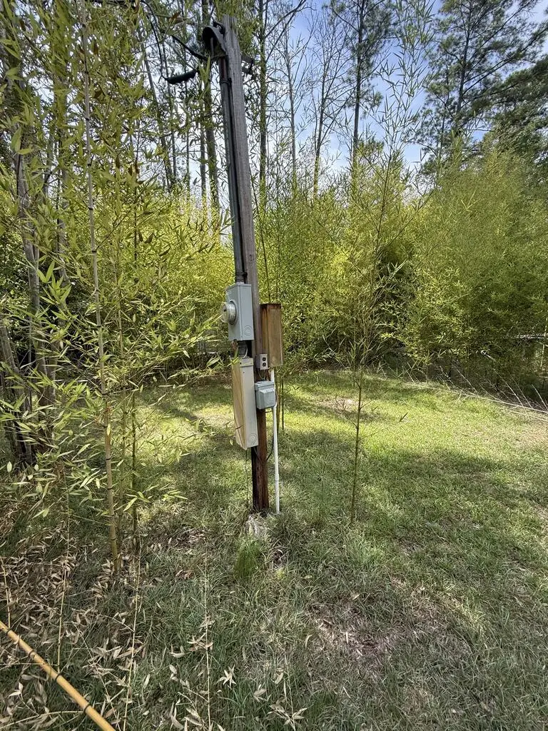 1165 County Road 2132, Burkeville, TX 75932 - #3