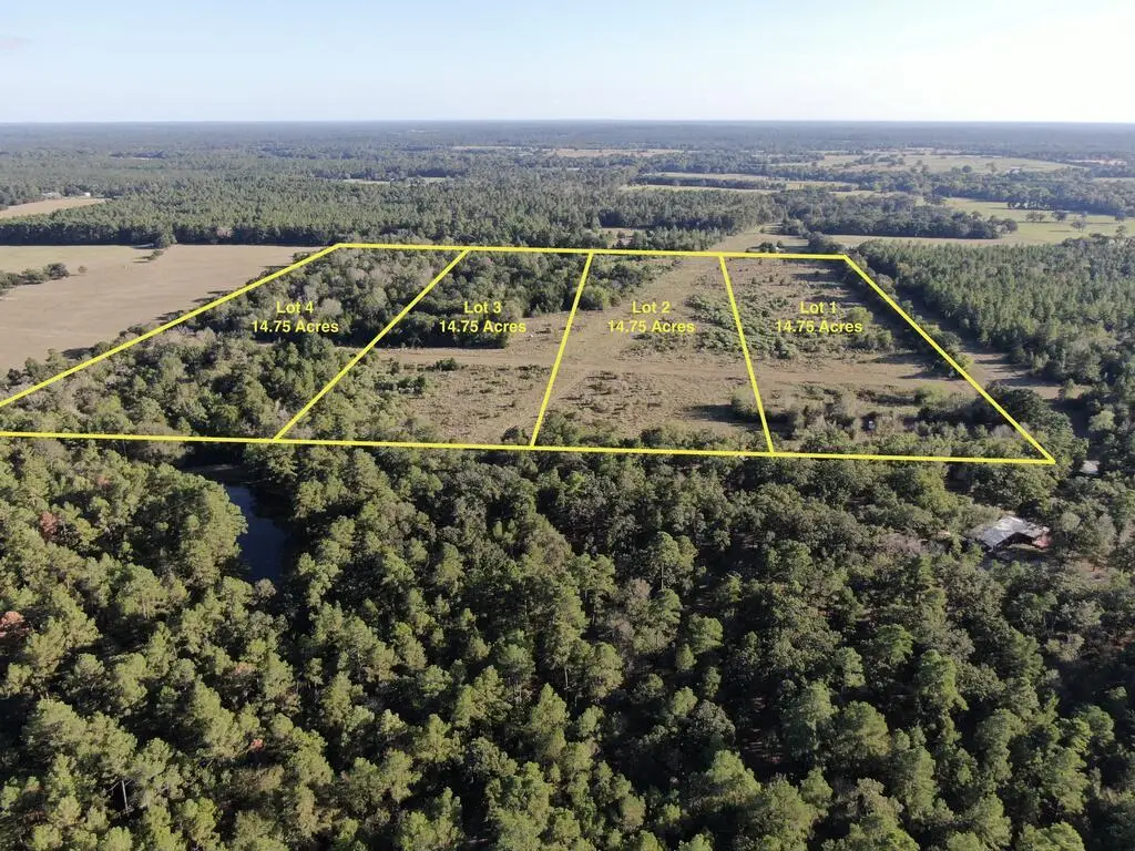 PID 16299 Cr 4035, Lovelady, TX 75851 - #1