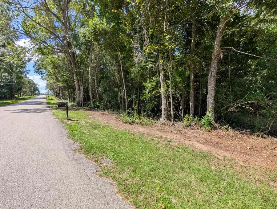 477 County Road 168, Jasper, TX 75951 - #2