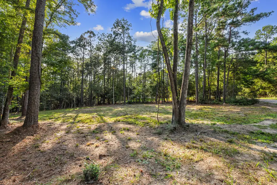 225 Middlecoff Drive, Brookeland, TX 75931 - #3