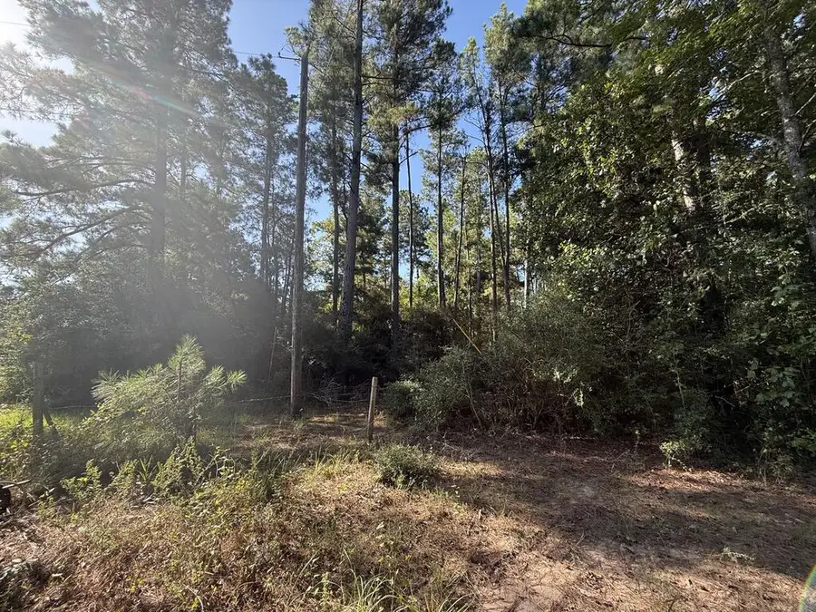 PARCEL#31432 Cr 3385, Lovelady, TX 75851 - #2