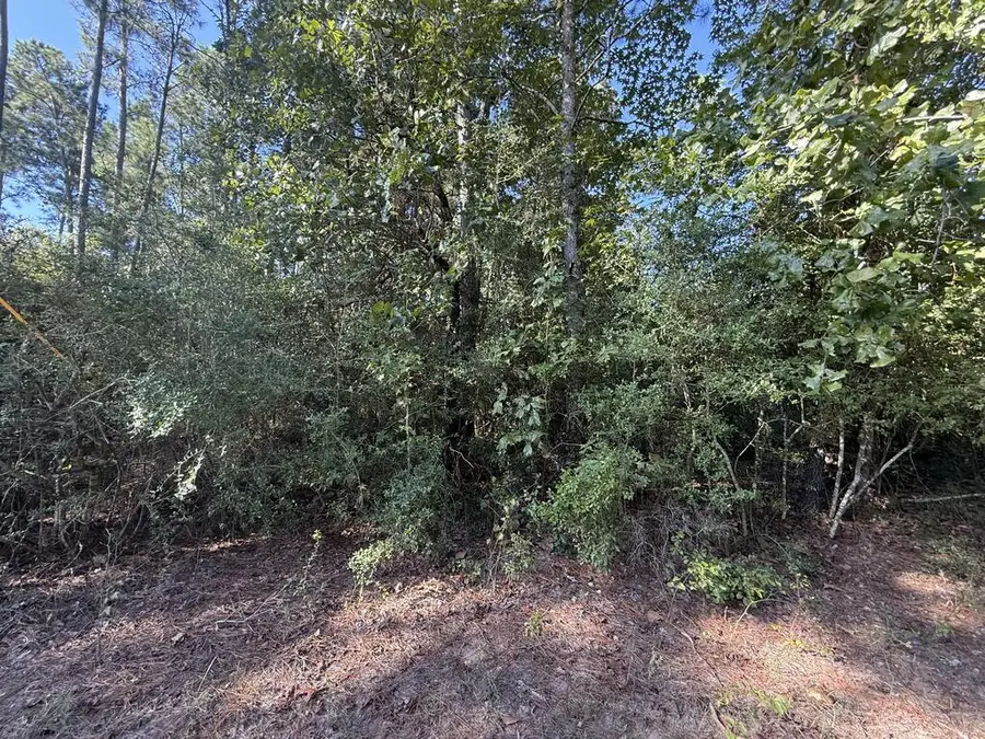 PARCEL#31432 Cr 3385, Lovelady, TX 75851 - #3