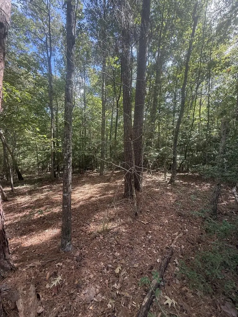 tbd Leisure Lane, Etoile, TX 75944 - #3