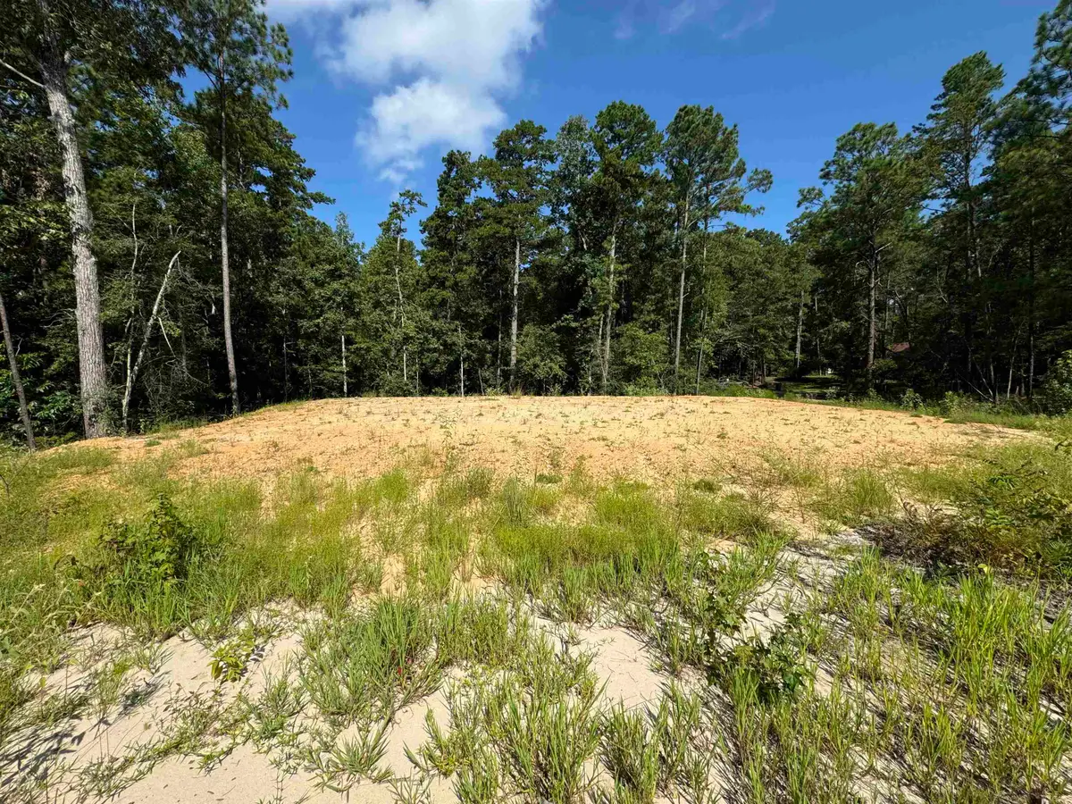 130 Ashcreek Lane, Brookeland, TX 75931 - #1