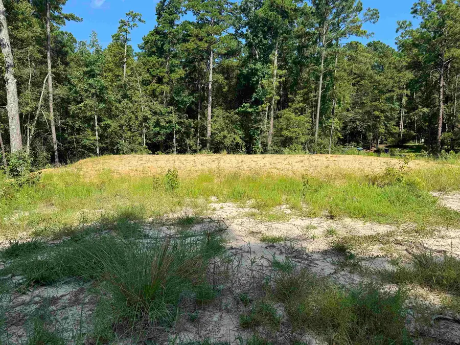 130 Ashcreek Lane, Brookeland, TX 75931 - #2
