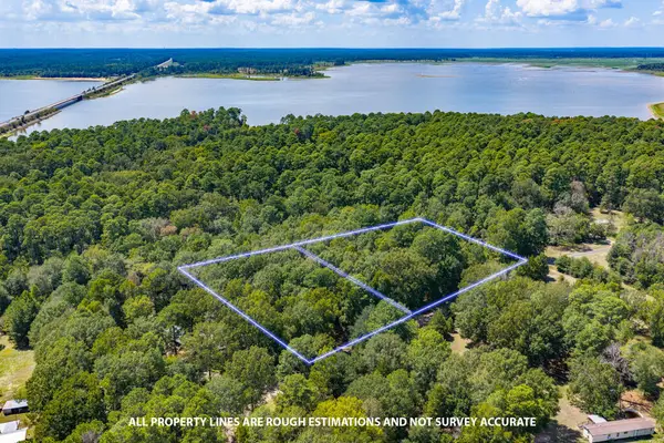 399 Forest Lane, Etoile, TX 75944