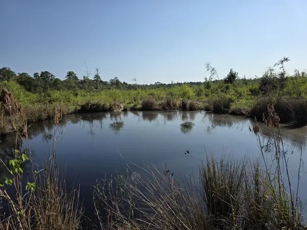37020 Old Sour Lake Road, Sour Lake, TX 77659