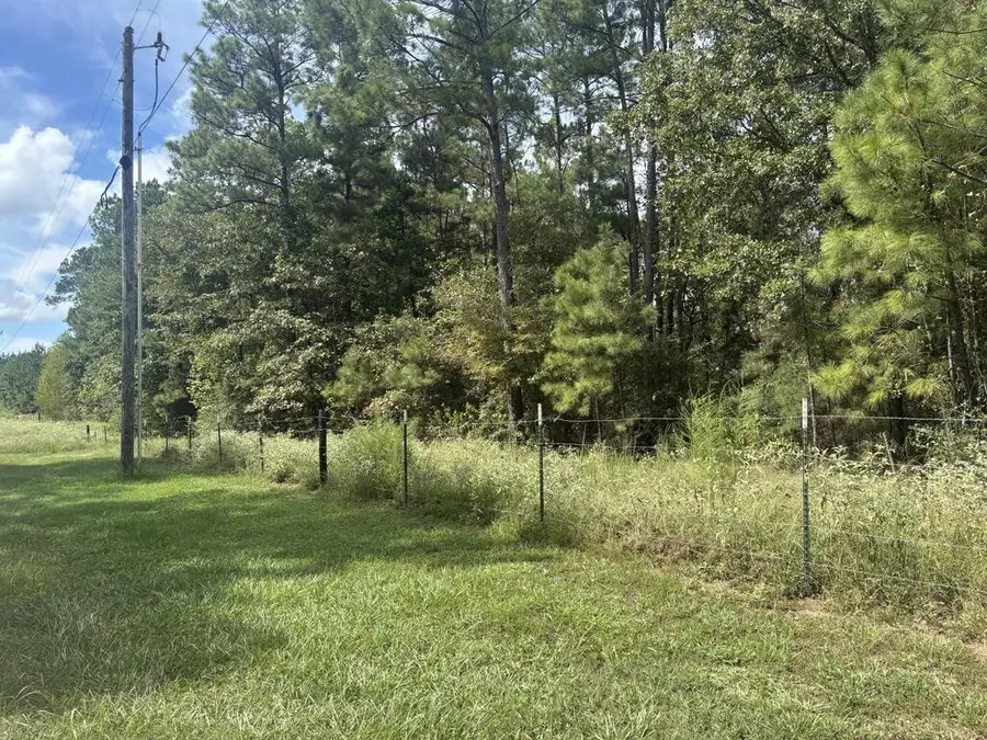 PID 57087 Timber Ranch Road, Apple Springs, TX 75926 - #2