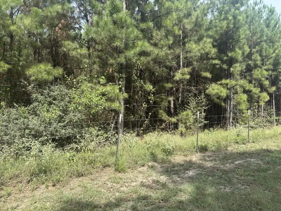 PID 57087 Timber Ranch Road, Apple Springs, TX 75926 - #3