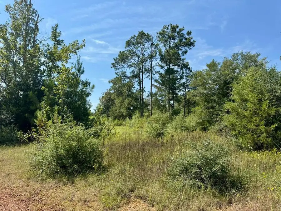 Tract 5 Private Rd 8385, Spurger, TX 77660 - #2