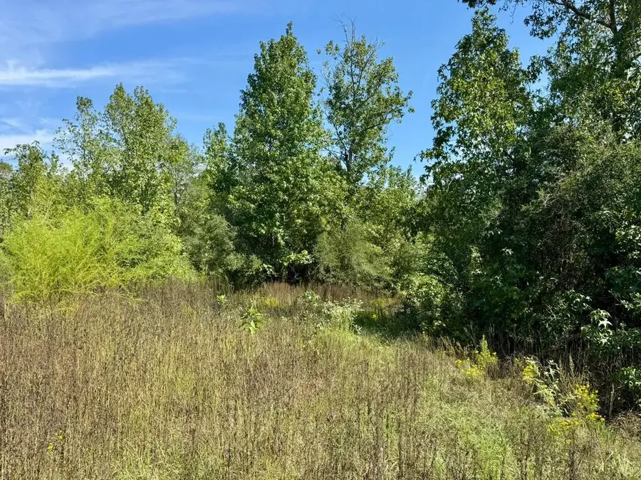 Tract 5 Private Rd 8385, Spurger, TX 77660 - #3