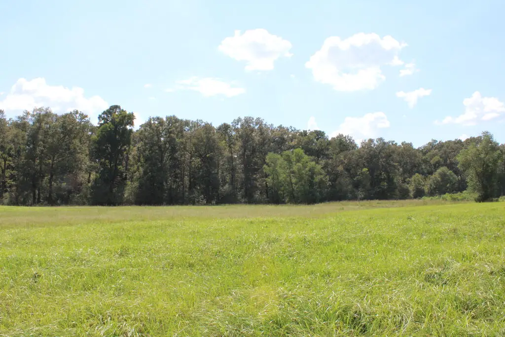 PID 12868 Williford Lane, Lufkin, TX 75901 - #1