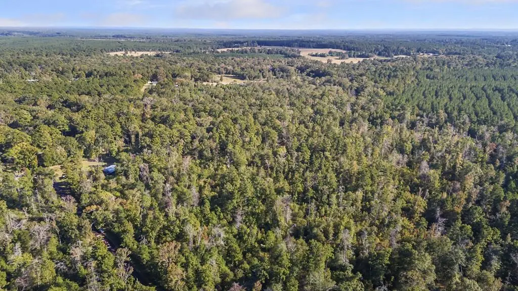 R32312 Sandy Creek Road, Zavalla, TX 75980 - #1