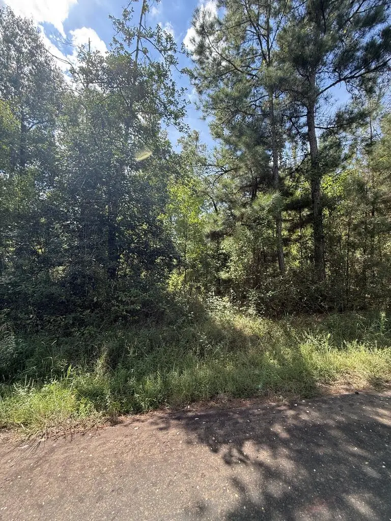 R32312 Sandy Creek Road, Zavalla, TX 75980 - #2