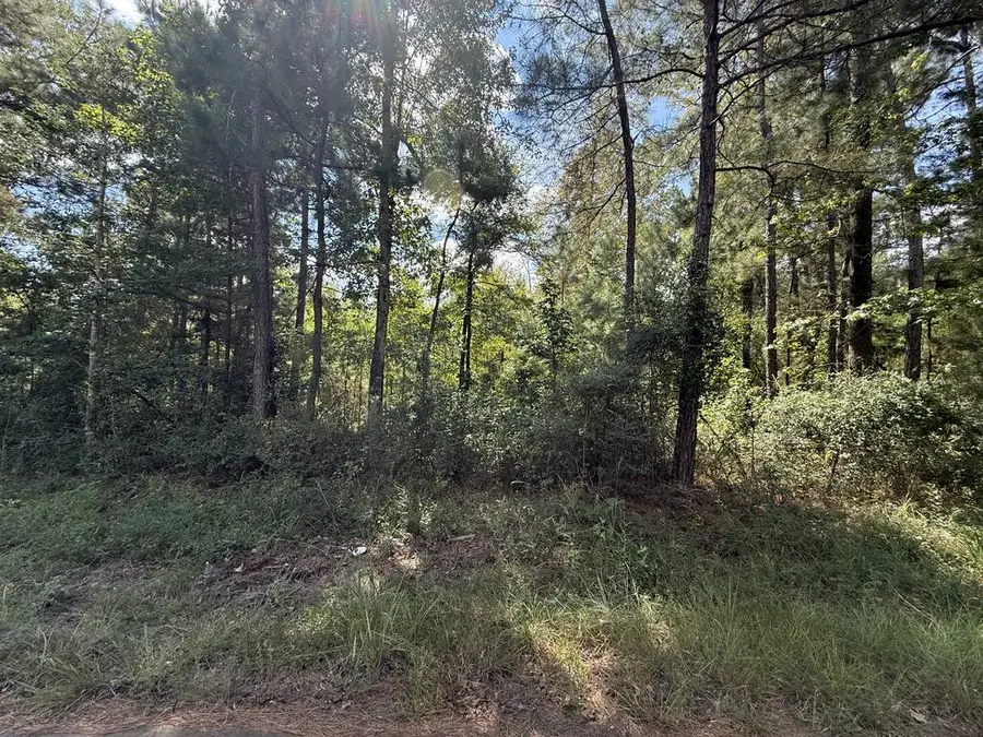R32312 Sandy Creek Road, Zavalla, TX 75980 - #3