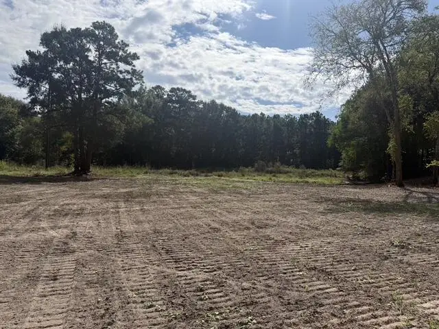 281A Burkhalter Hollow, Diboll, TX 75941 - #3