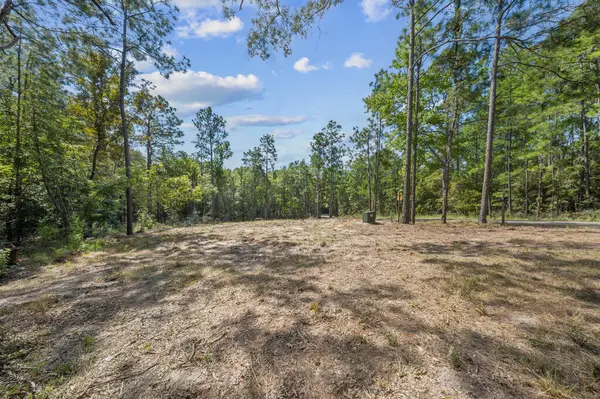 235 Deodar Drive, Brookeland, TX 75931