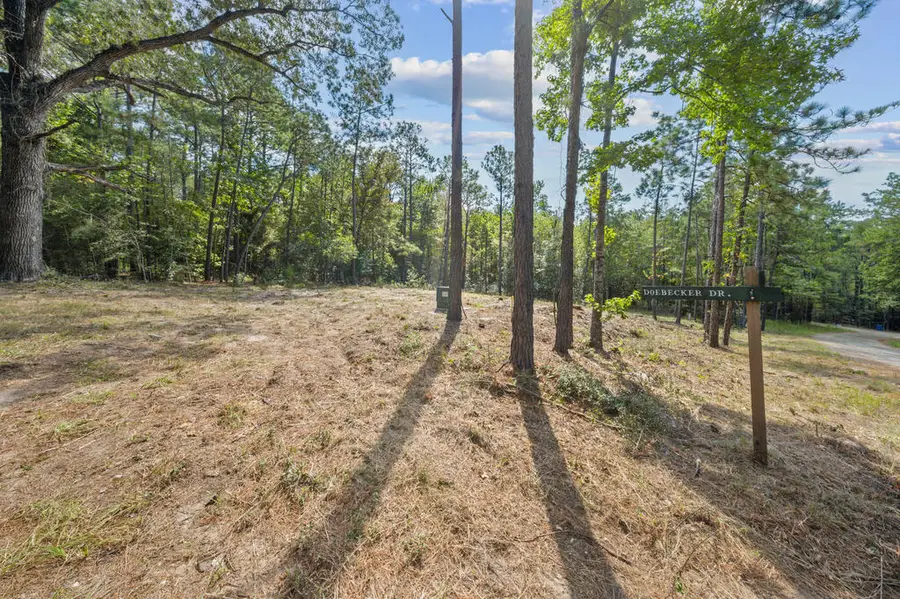 235 Deodar Drive, Brookeland, TX 75931 - #2