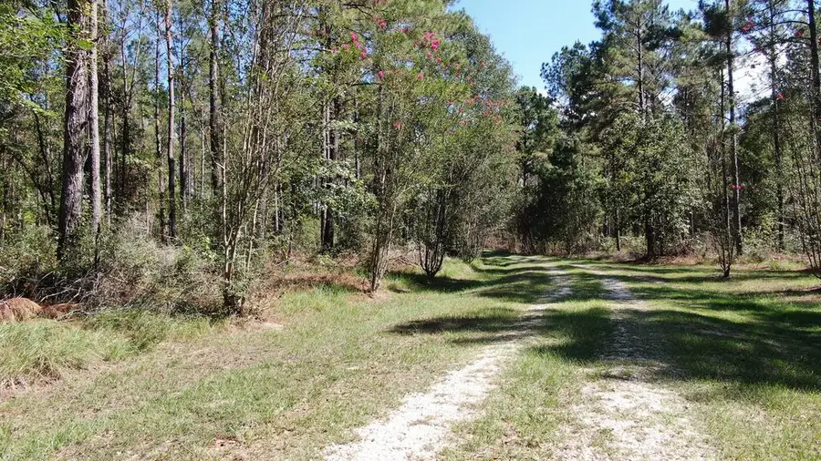 1240 Whitehead Road, Lufkin, TX 75901 - #3