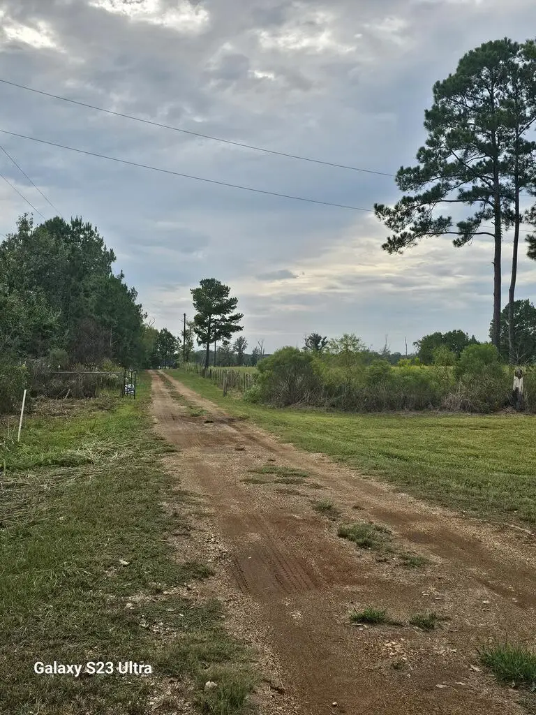 #71250 County Road 392, Chireno Martinsville, TX 75661 - #3