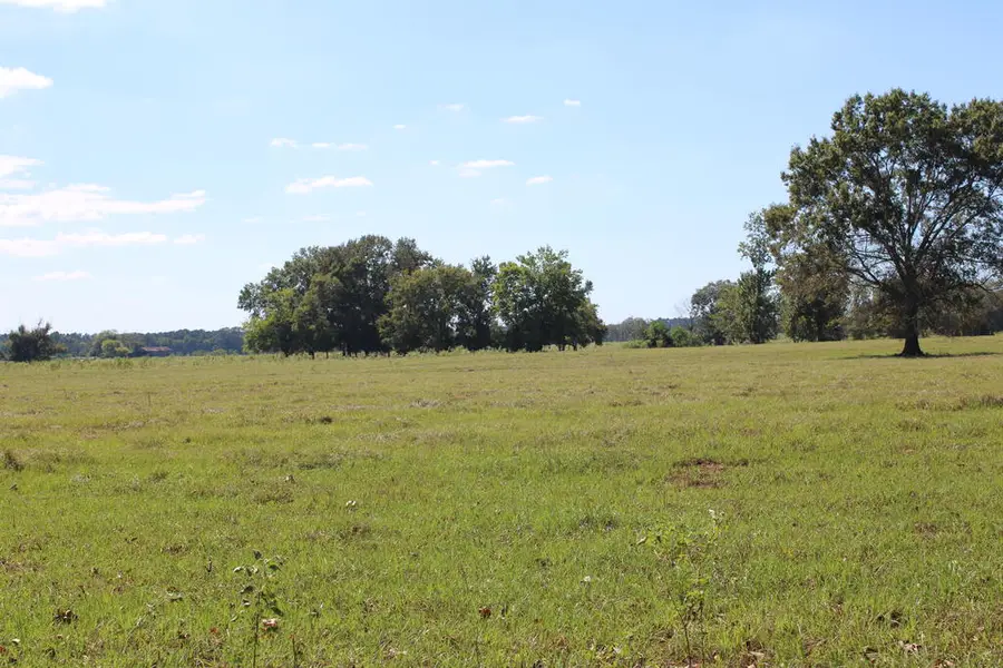 634 County Rd 767, Nacogdoches, TX 75964 - #3