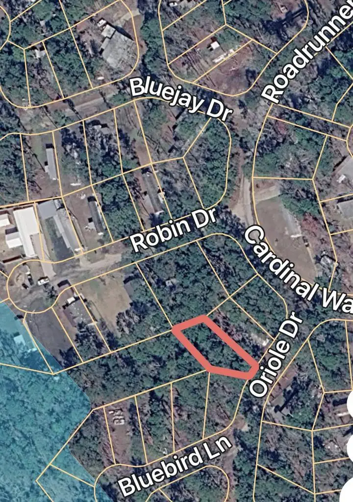 Lot 79 Oriole Dr, Brookeland, TX 75931 - #1