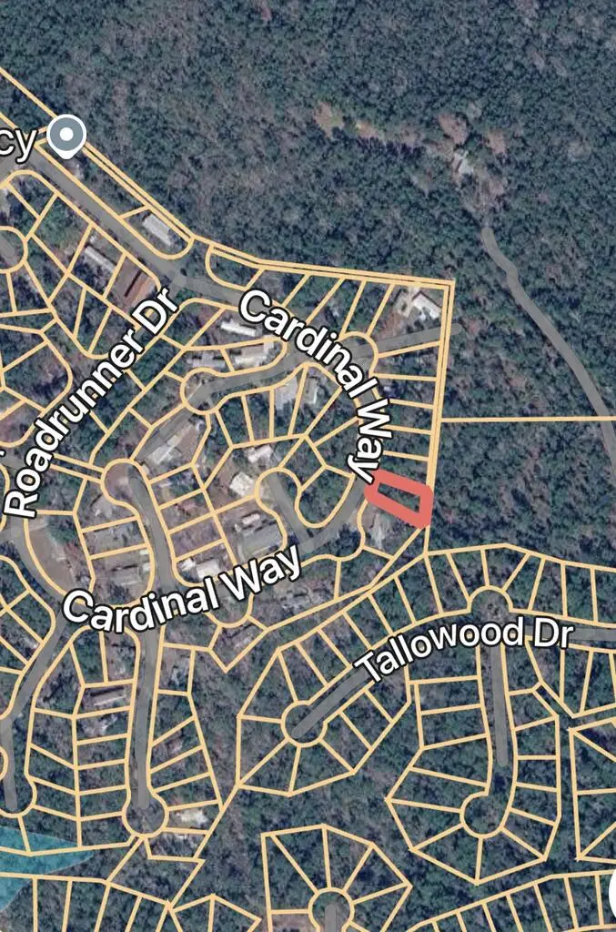 Lot 117 Cardinal Way, Brookeland, TX 75931 - #1