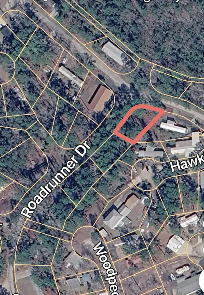 Lot 133 Cardinal Way, Brookeland, TX 75931 - #3