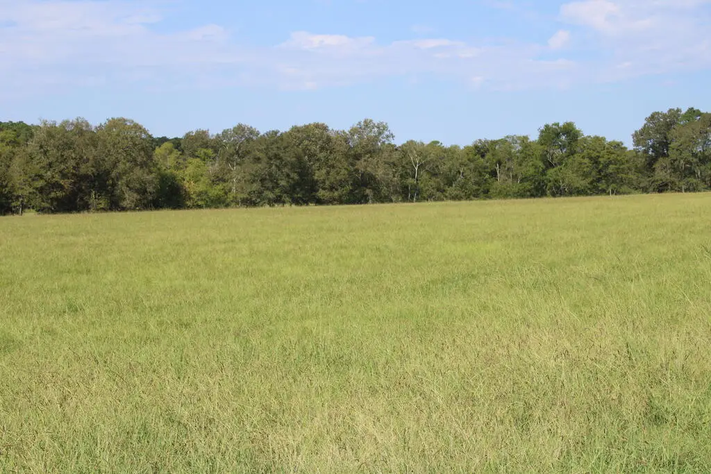 PID 66842 Barnum Loop, Corrigan, TX 75939 - #1