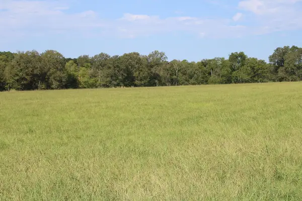 PID 66842 Barnum Loop, Corrigan, TX 75939