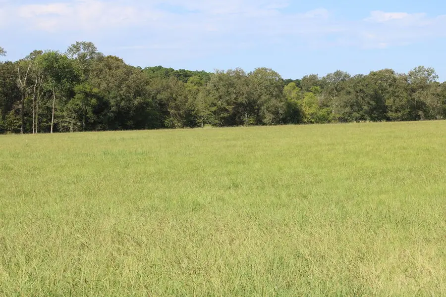 PID 66842 Barnum Loop, Corrigan, TX 75939 - #2