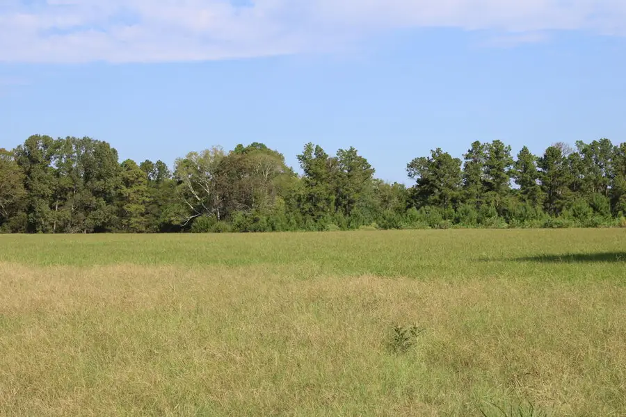 PID 66842 Barnum Loop, Corrigan, TX 75939 - #3
