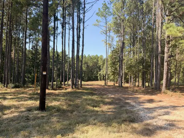 150 Buck Alley, Douglass, TX 75943