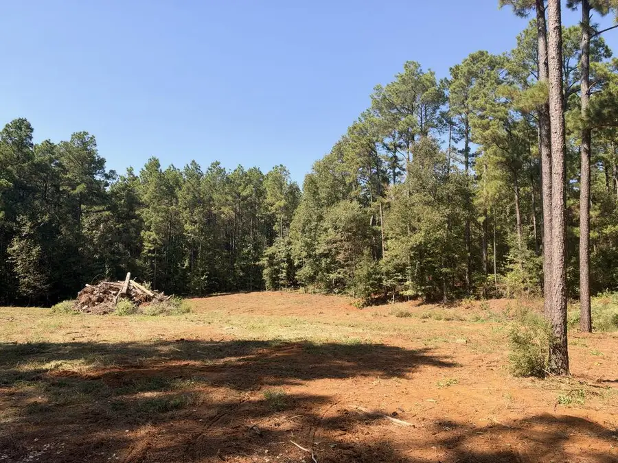 150 Buck Alley, Douglass, TX 75943 - #2