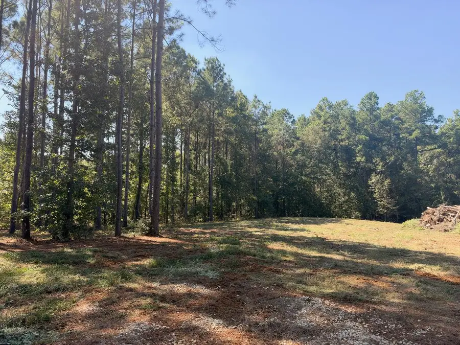 150 Buck Alley, Douglass, TX 75943 - #3