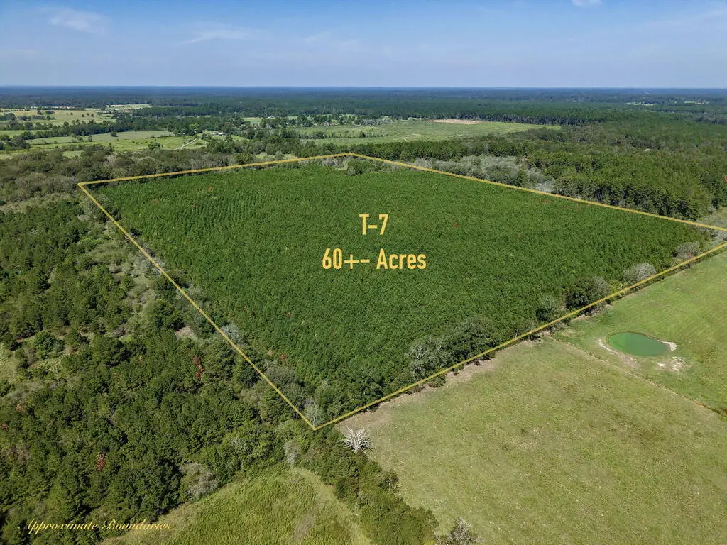 PID 32385 Fm 844, Huntington, TX 75949 - #1
