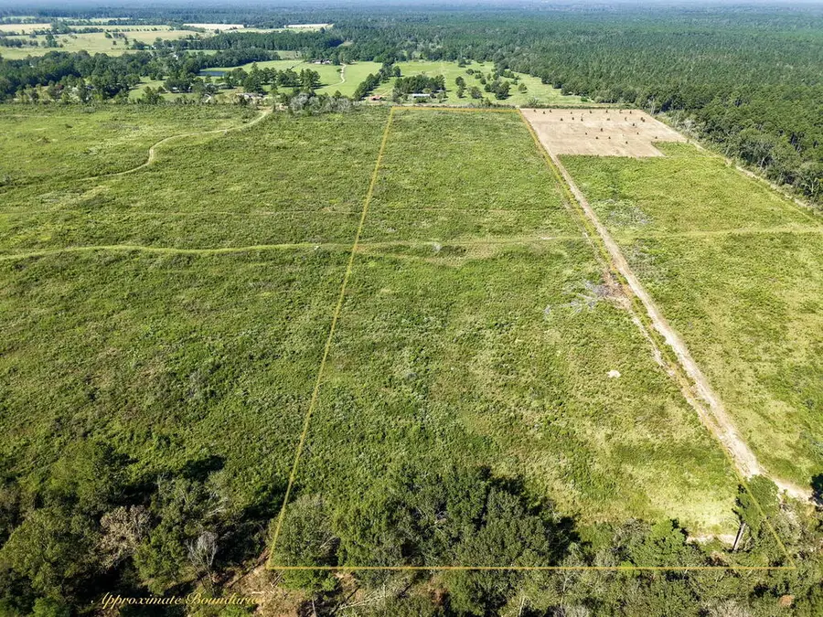 PID 32386 T-3 Fm 844, Huntington, TX 75949 - #2