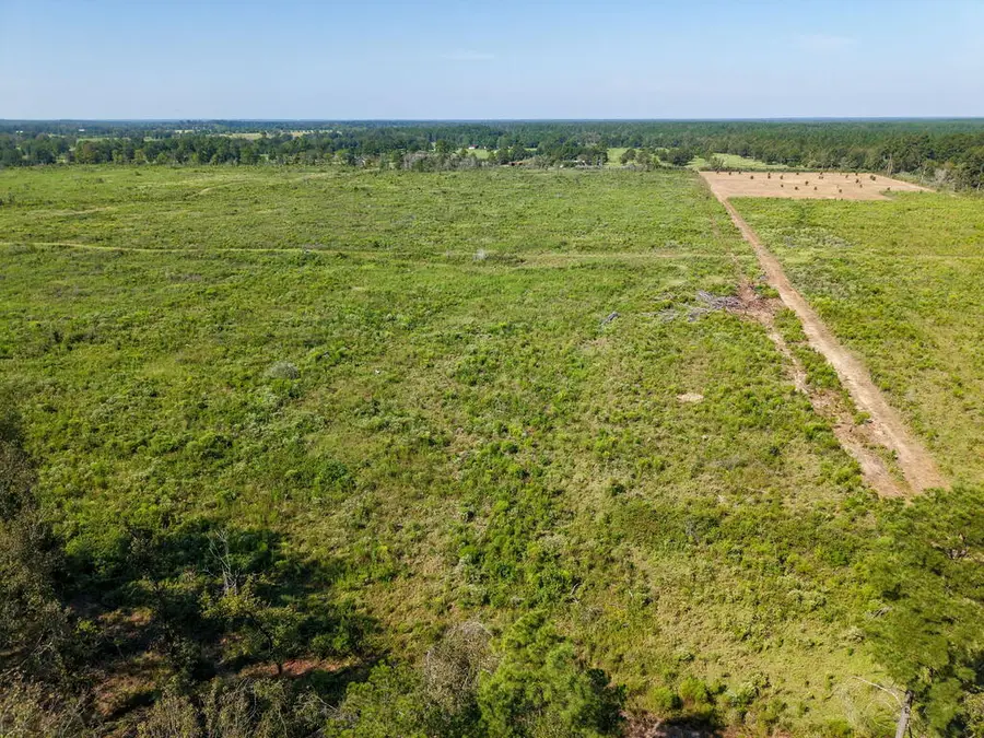 PID 32386 T-3 Fm 844, Huntington, TX 75949 - #3