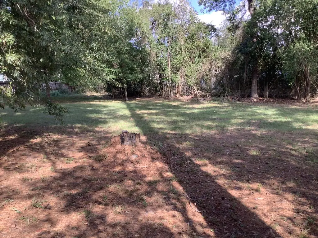 4,5,6 Northwood Drive, Jasper, TX 75951 - #1