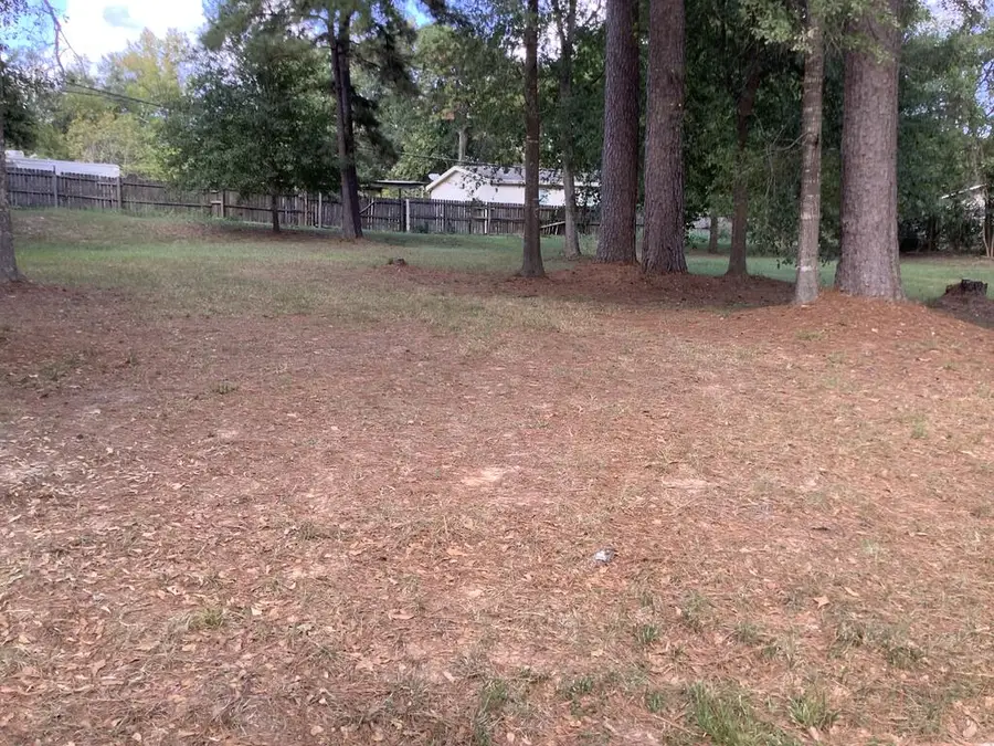 4,5,6 Northwood Drive, Jasper, TX 75951 - #2