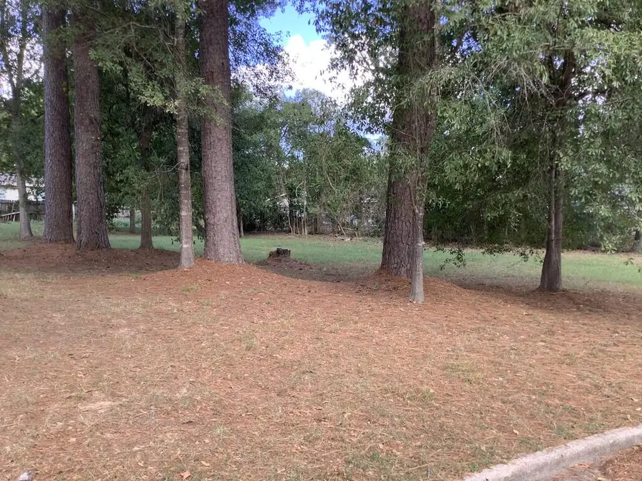 4,5,6 Northwood Drive, Jasper, TX 75951 - #3