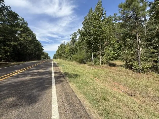 7 (Abstract) Hwy 184, Hemphill, TX 75948 - #1