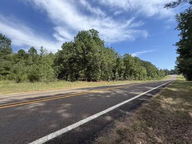 7 (Abstract) Hwy 184, Hemphill, TX 75948 - #3