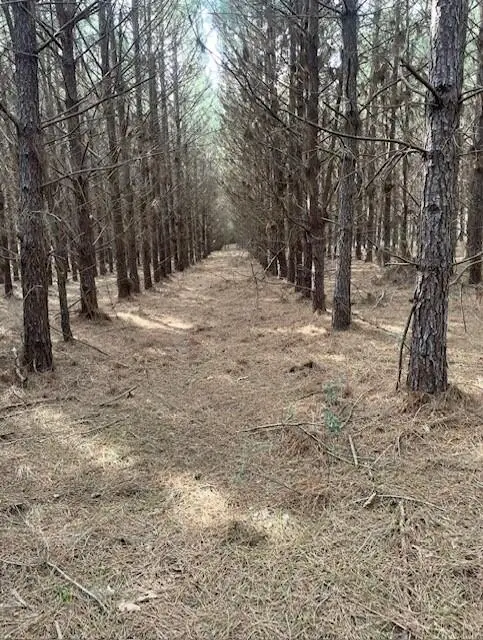 ID 41220 41221 Cr 4916, TIMPSON, TX 75975
