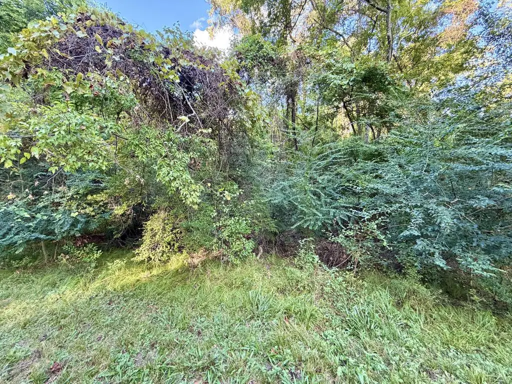 LOT 572 Commodore Drive, Hemphill, TX 75948 - #1