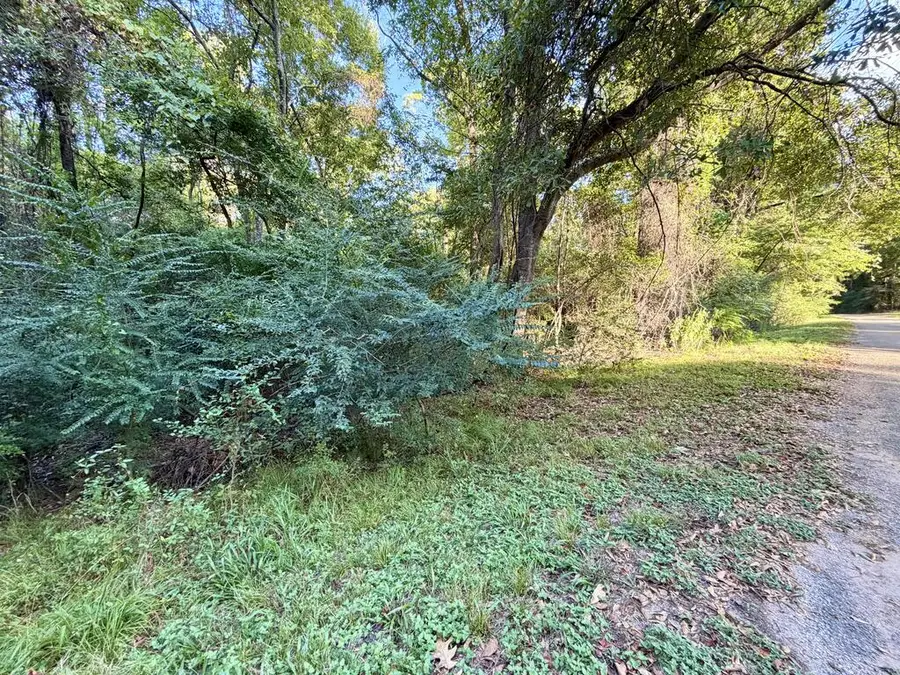 LOT 572 Commodore Drive, Hemphill, TX 75948 - #2