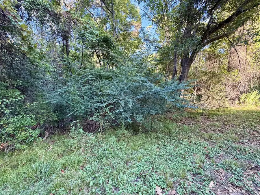 LOT 572 Commodore Drive, Hemphill, TX 75948 - #3
