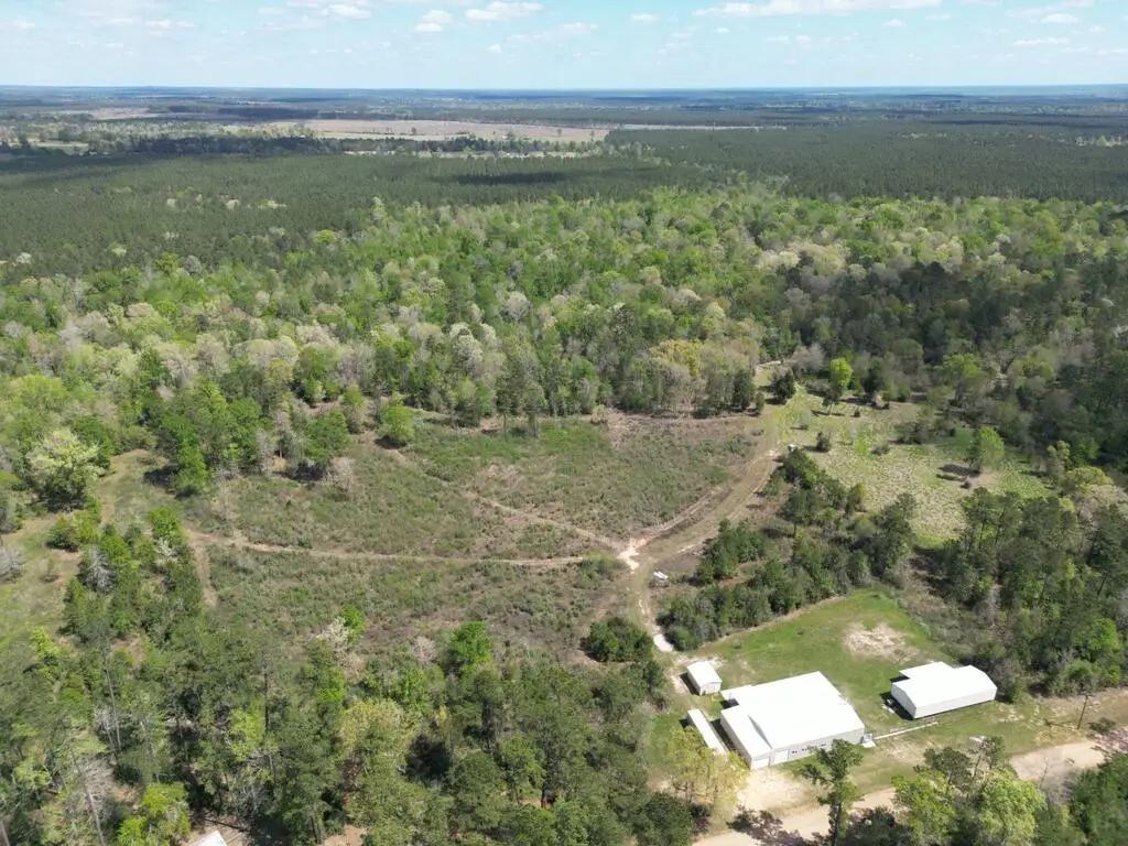 945 Cr 2004, Bon Wier, TX 75928 - #1